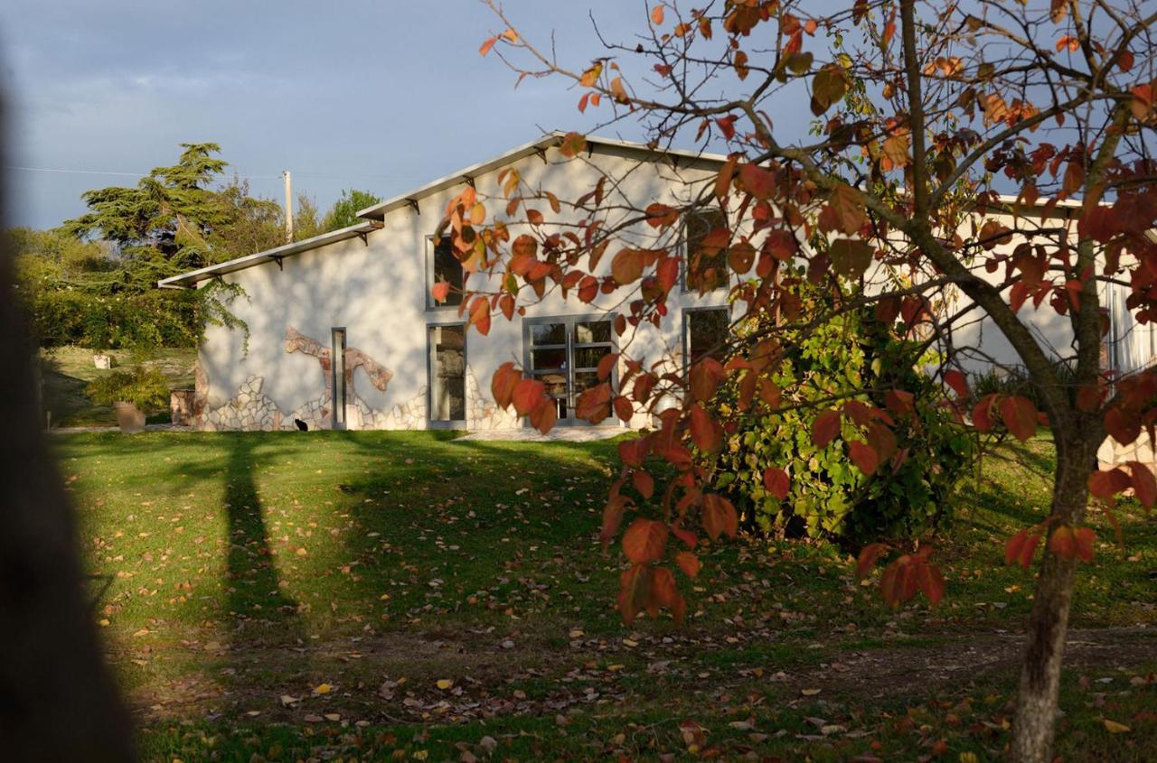 Agriturismo Arte Et Agricoltura Tuscania Luaran gambar