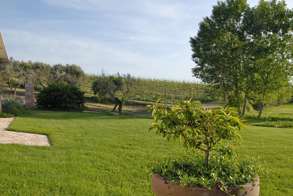 Agriturismo Arte Et Agricoltura Tuscania Luaran gambar