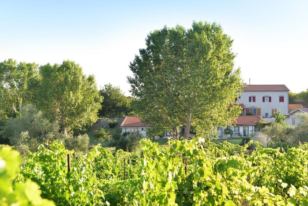 Agriturismo Arte Et Agricoltura Tuscania Luaran gambar