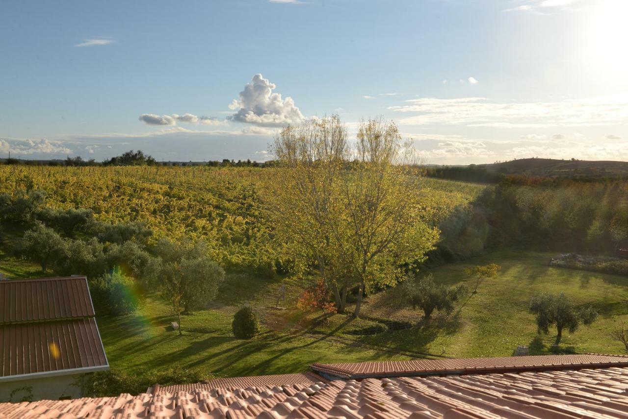 Agriturismo Arte Et Agricoltura Tuscania Luaran gambar